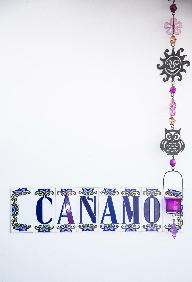 טמאדוסטה Canamo מראה חיצוני תמונה